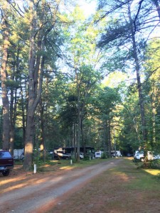 Green Gate campsites             