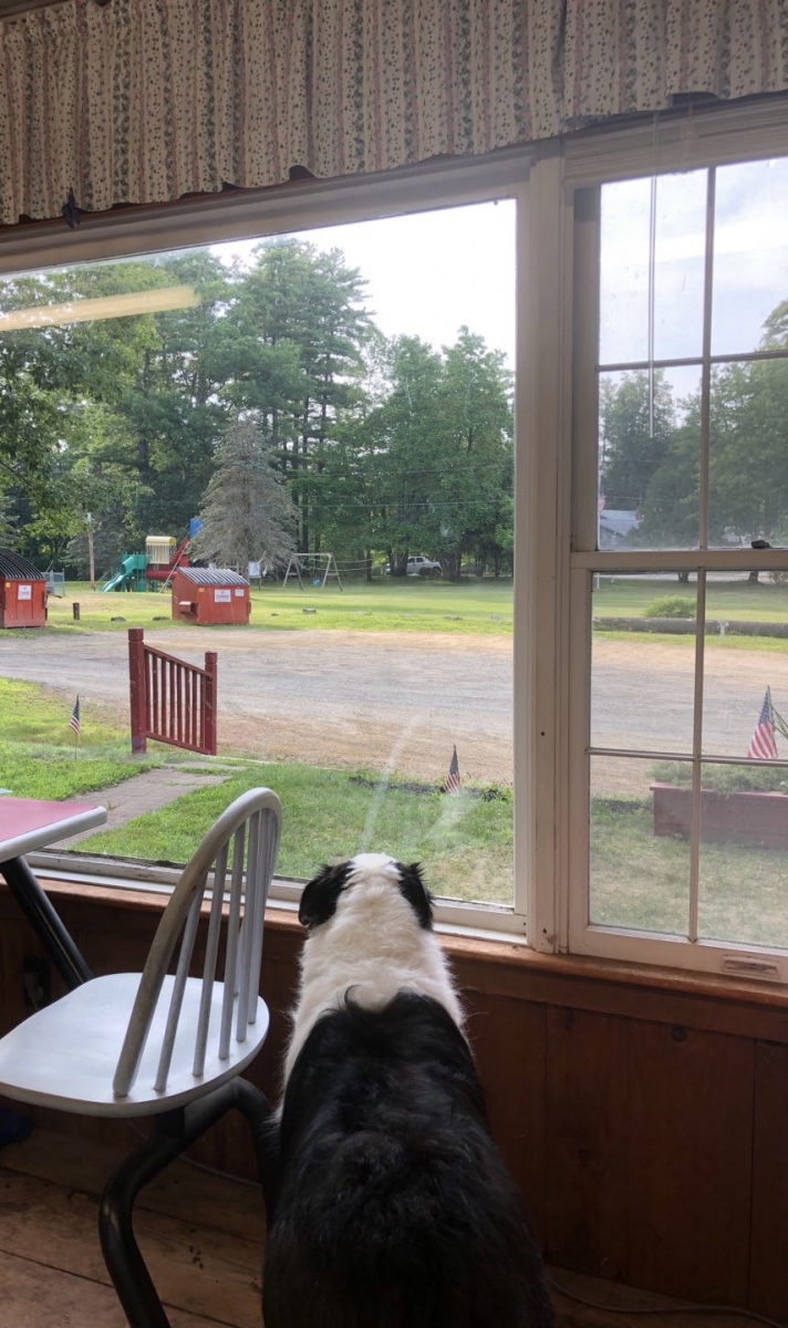 The Green Gate Campground Exeter, New Hampshire