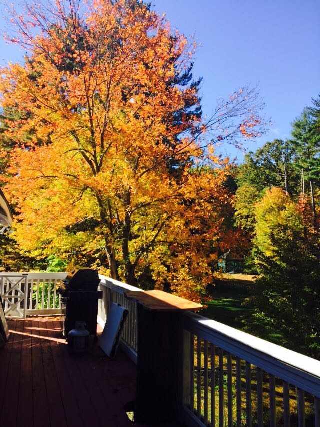 The Green Gate Campground Exeter, New Hampshire